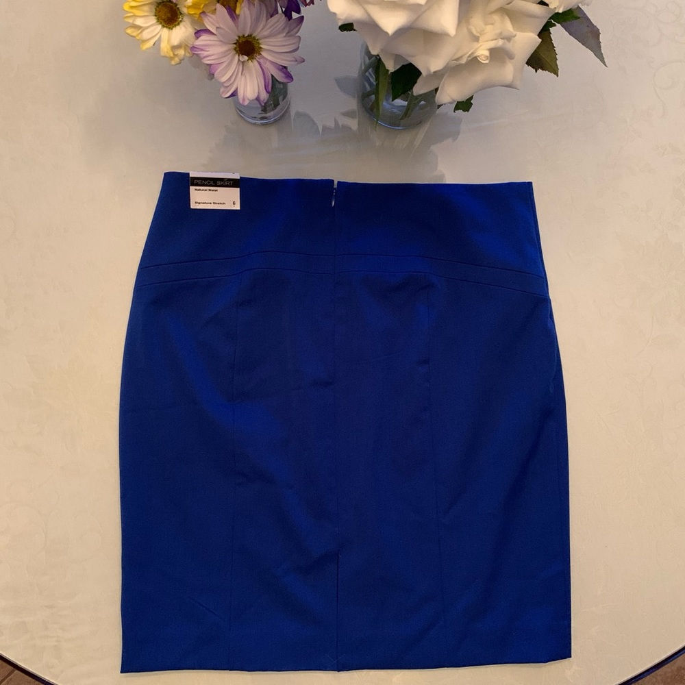 Express Pencil Skirt